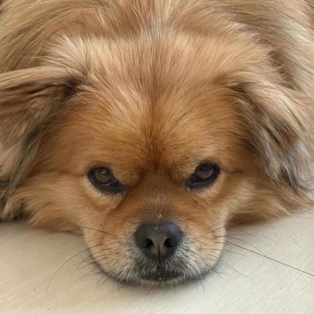 小王三