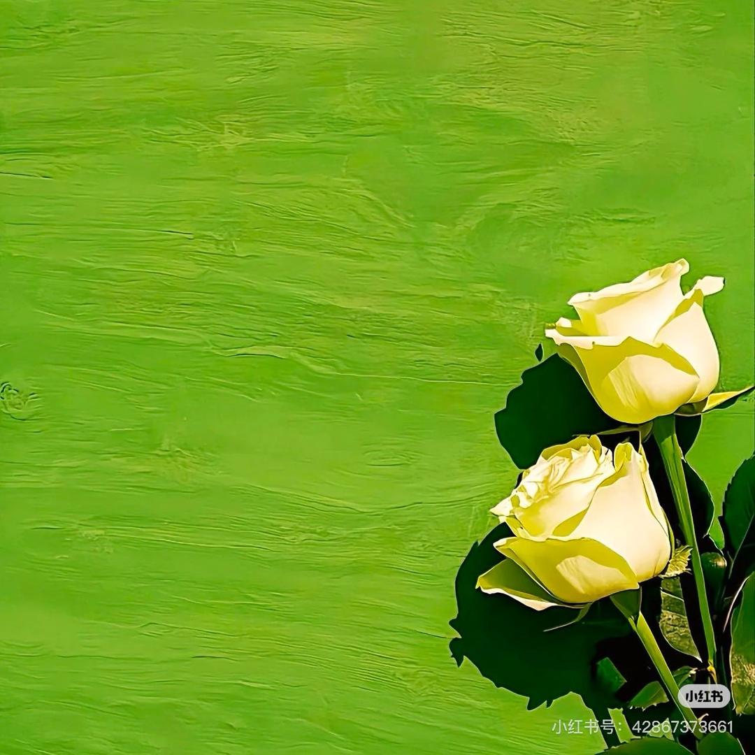 成为化石公园大明星