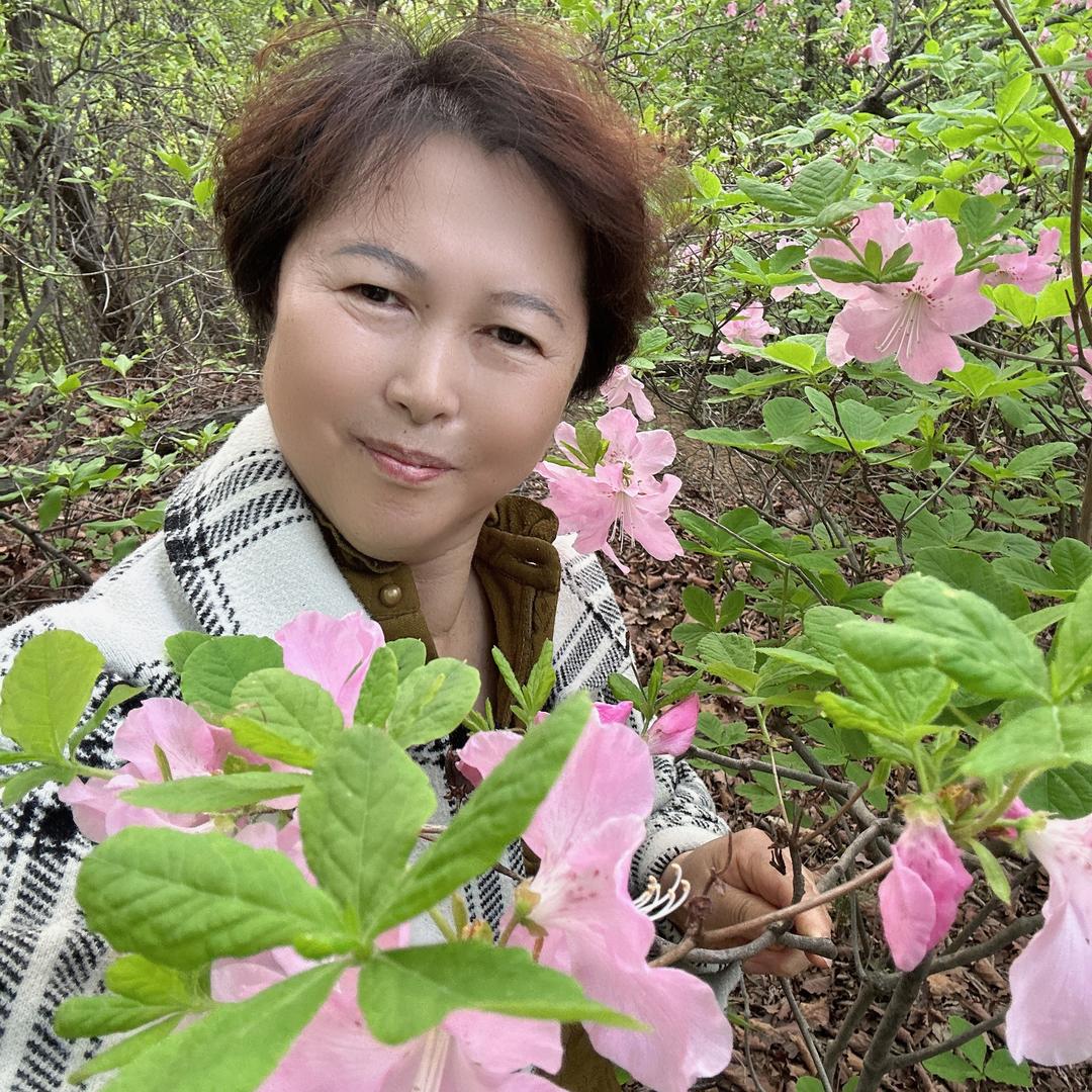 小燕子