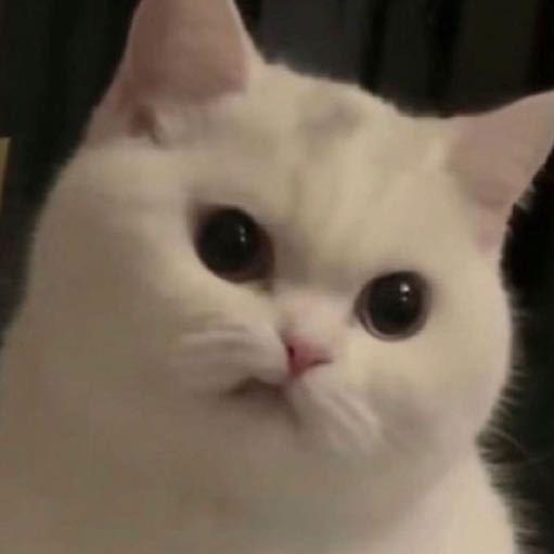 xz