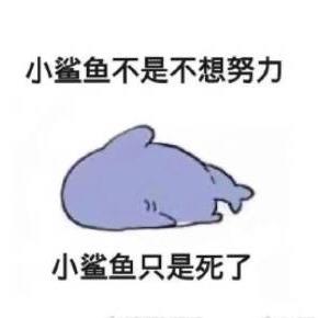 小小的鱼仔🐟