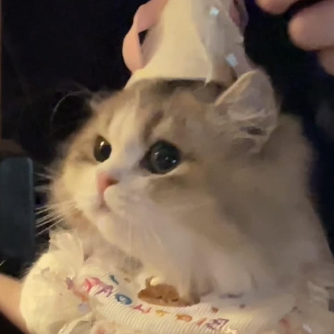 么么么么