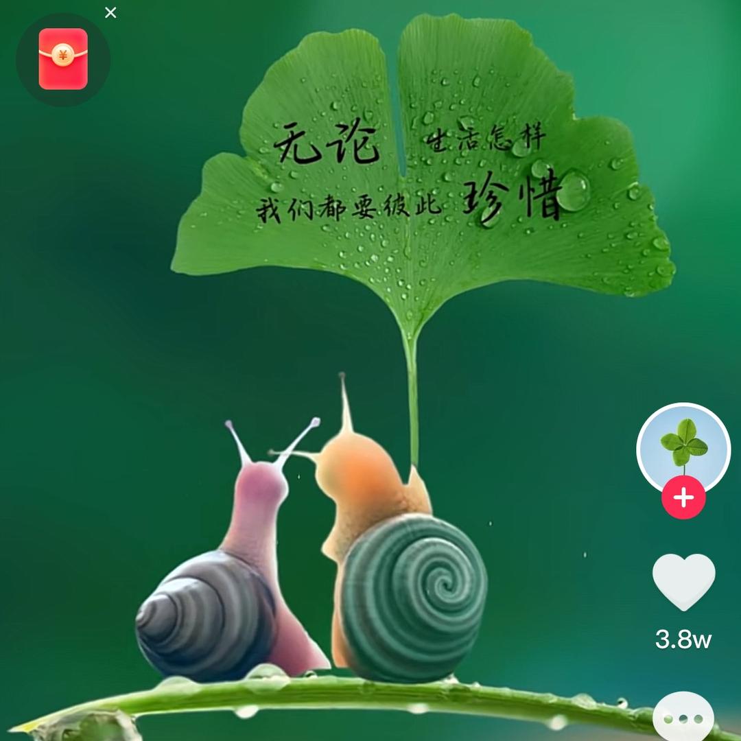 以梦为马