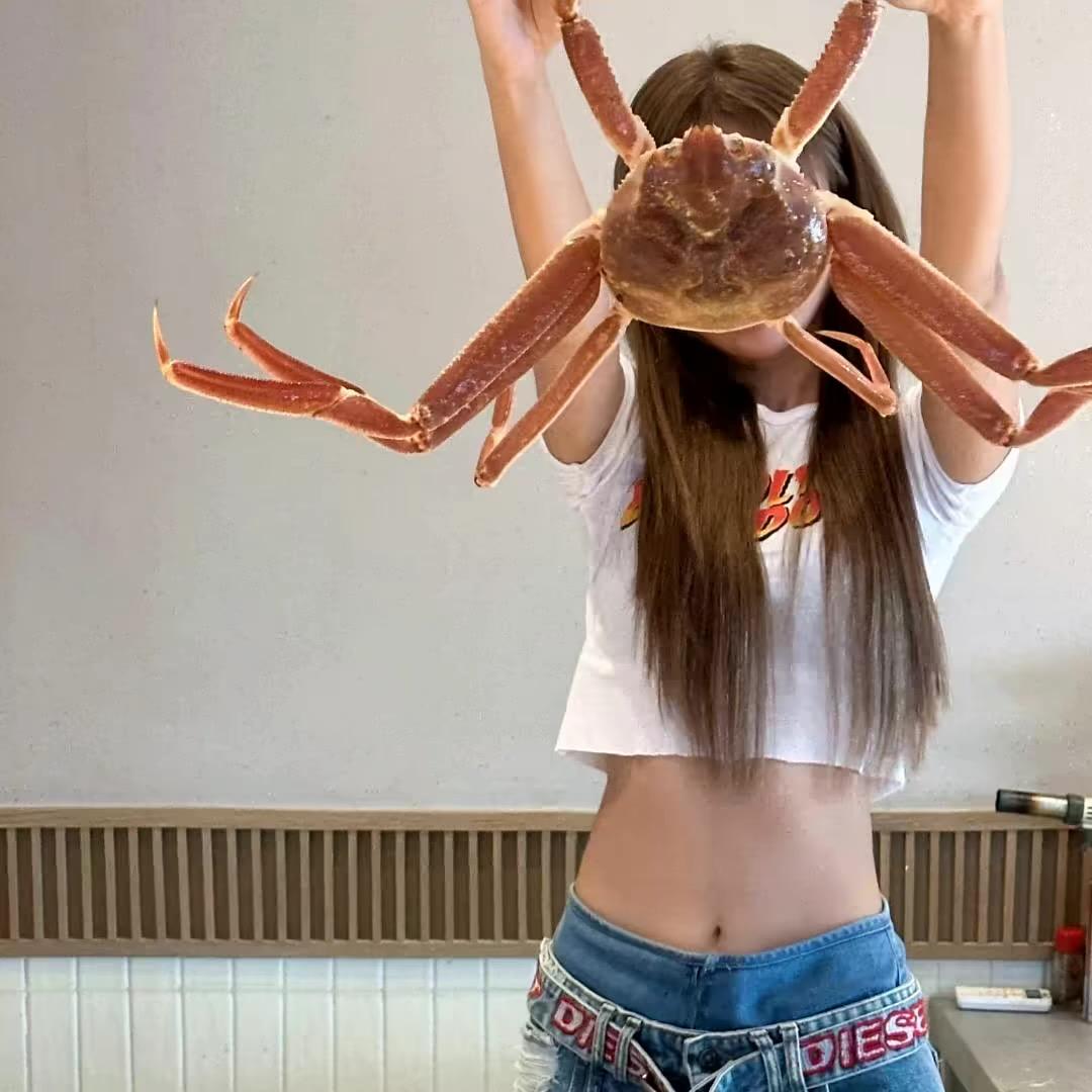 睡觉爱数羊