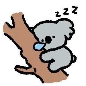 晚睡晚起.
