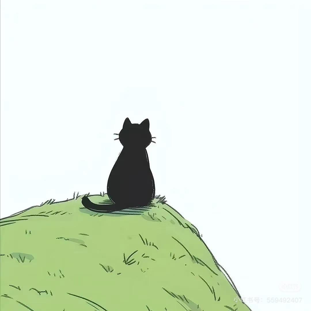丸