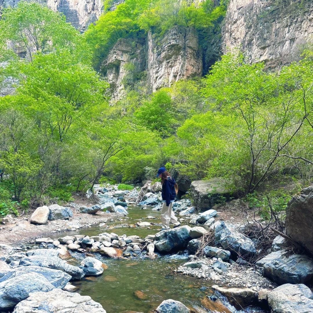 晴空万李.