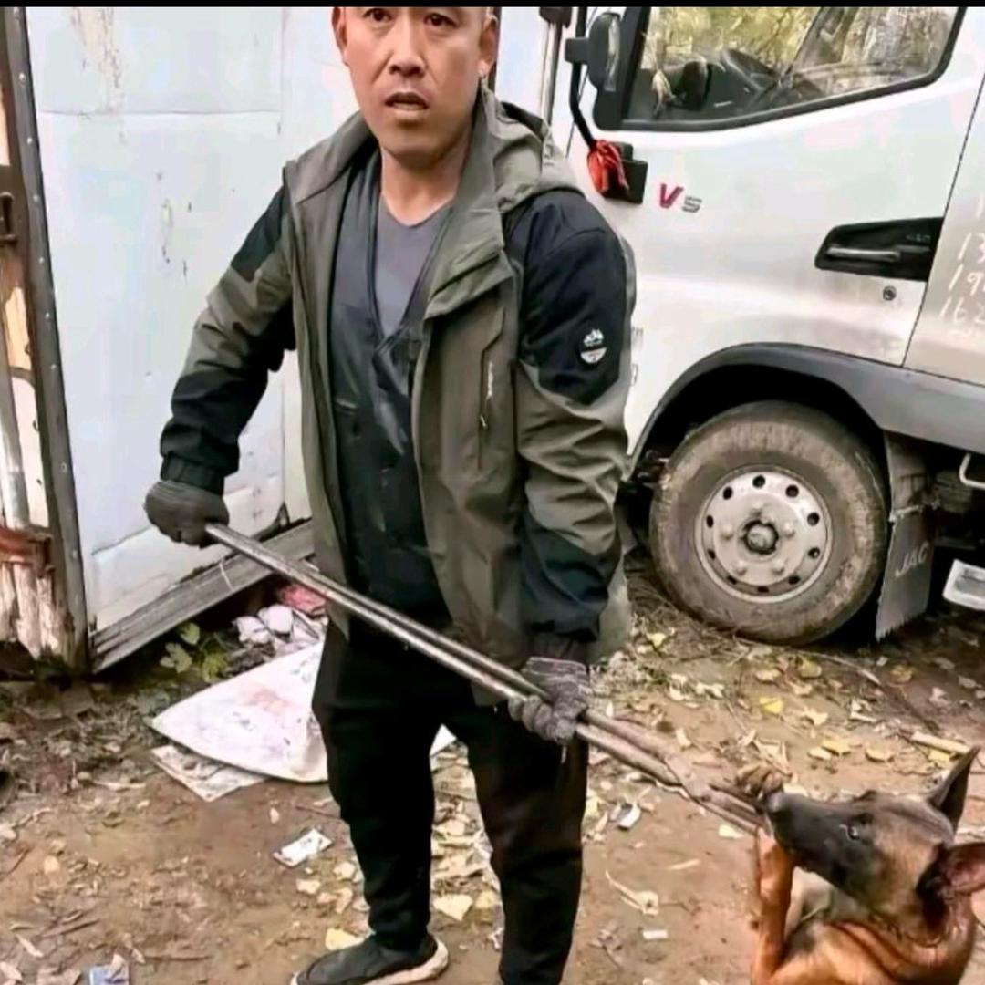AAA张哥专业套狗