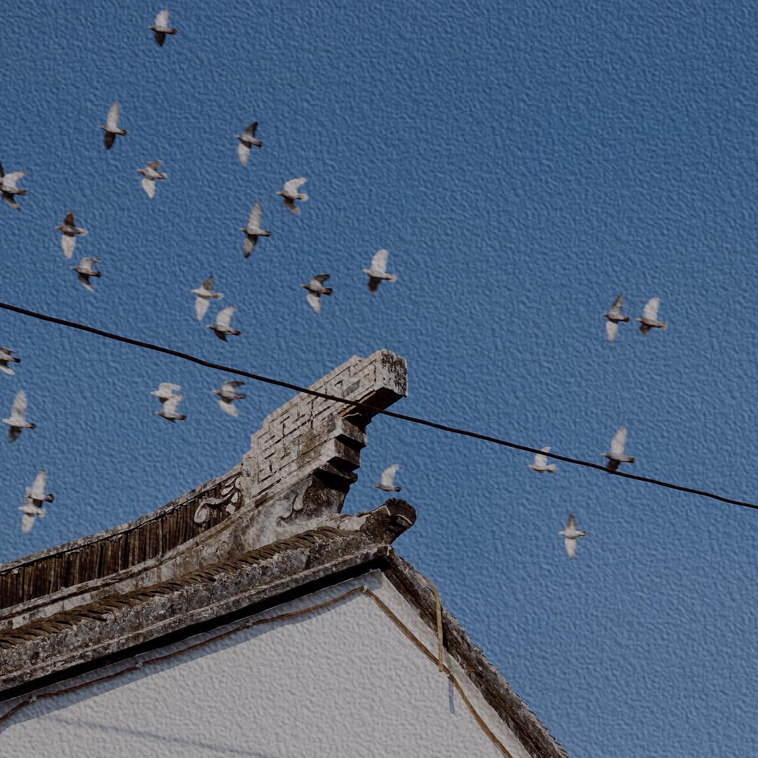 九离（🈲连赞）