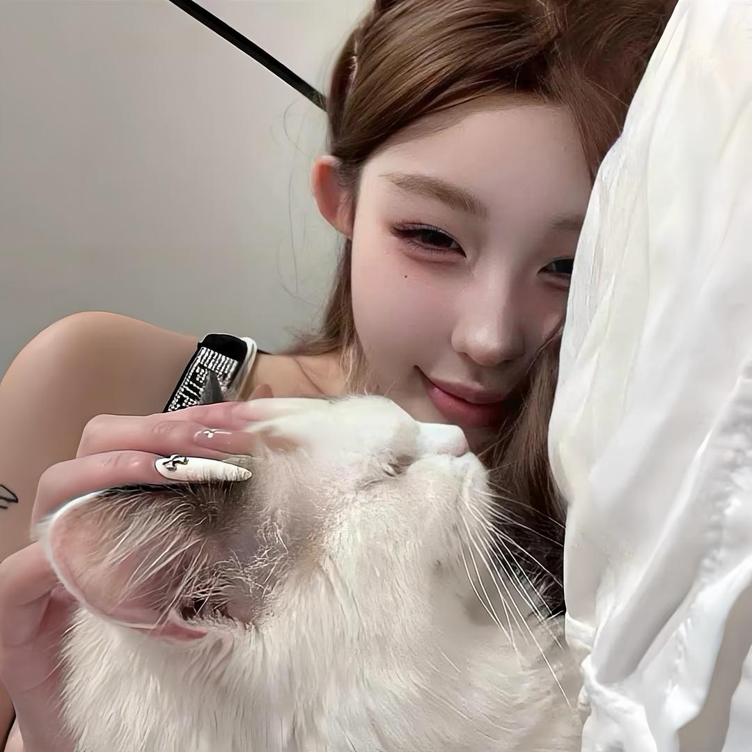 Ayan