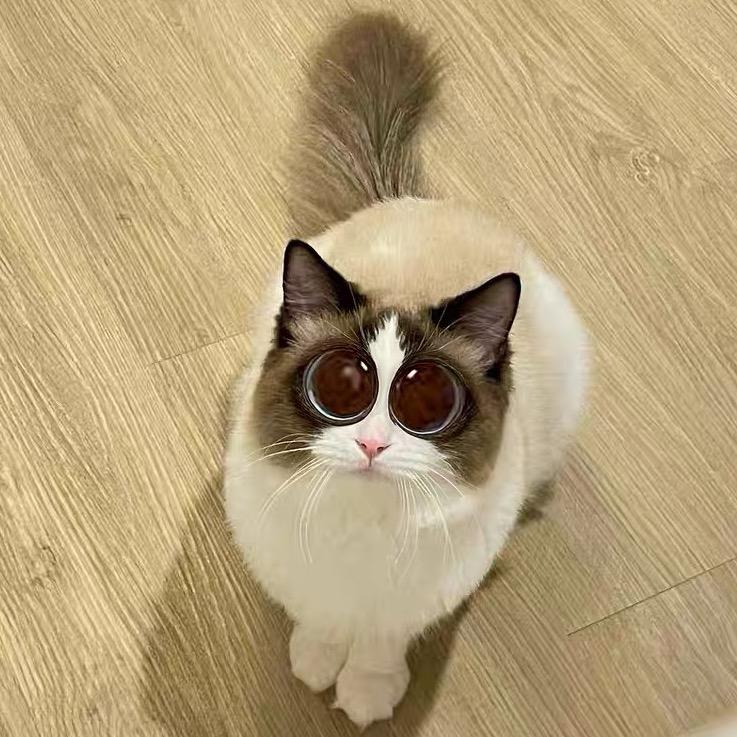 乖乖皮皮和点点