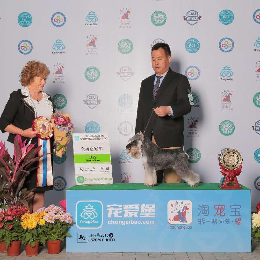 石家庄市清馨宠物美容培训中心