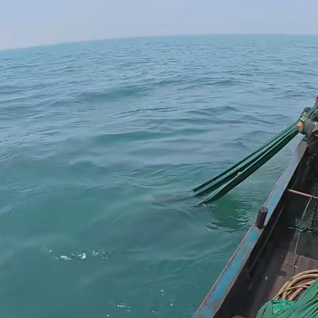多多上船