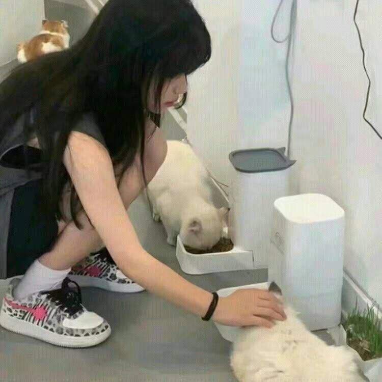 ·慧·