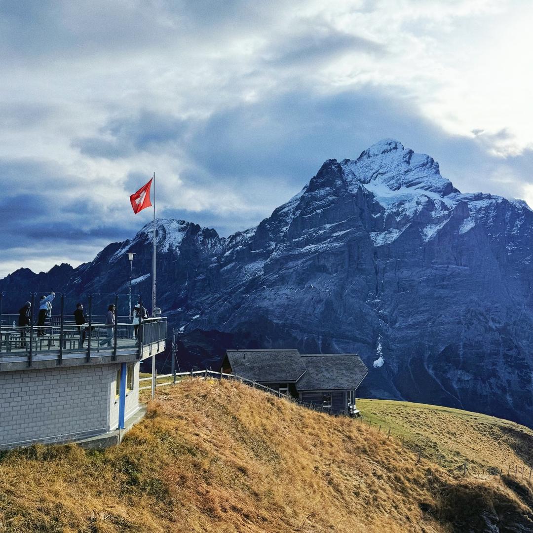 你算哪塊小餅乾