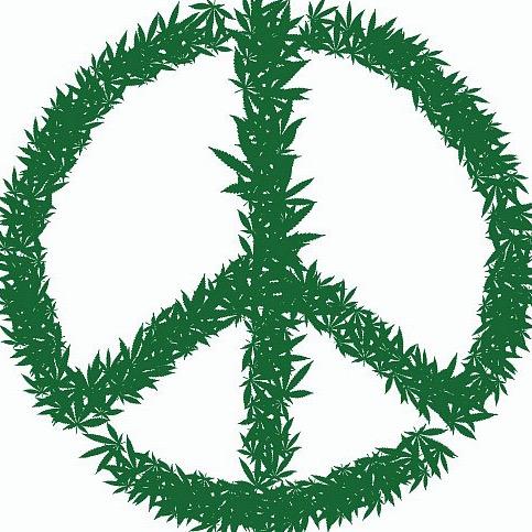 陈武吉他(小号)