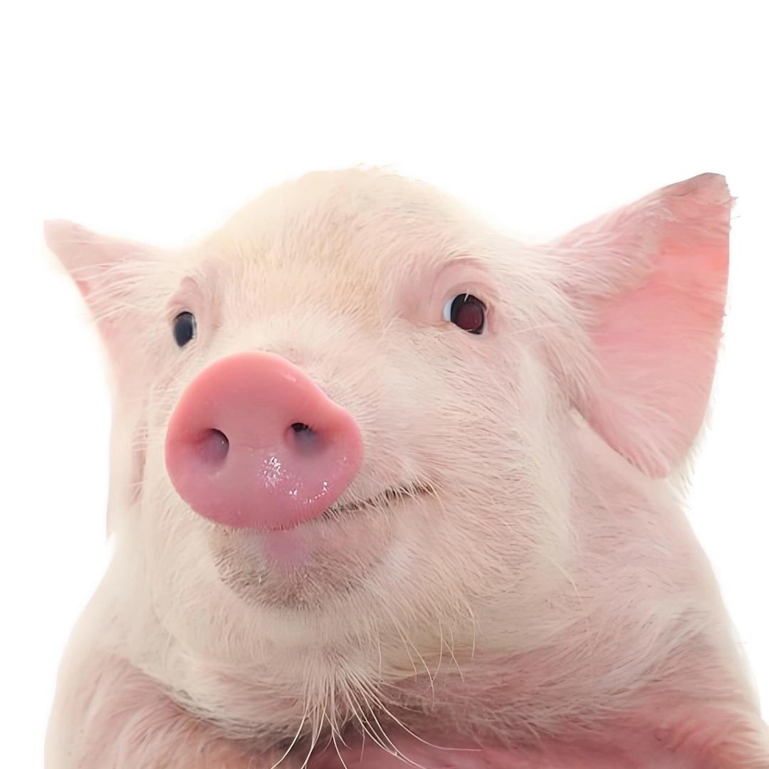 小七