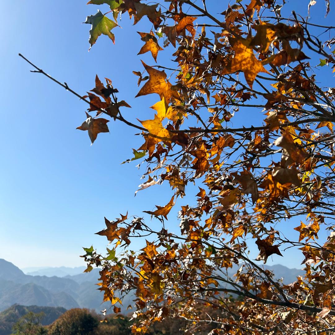 一小时之外