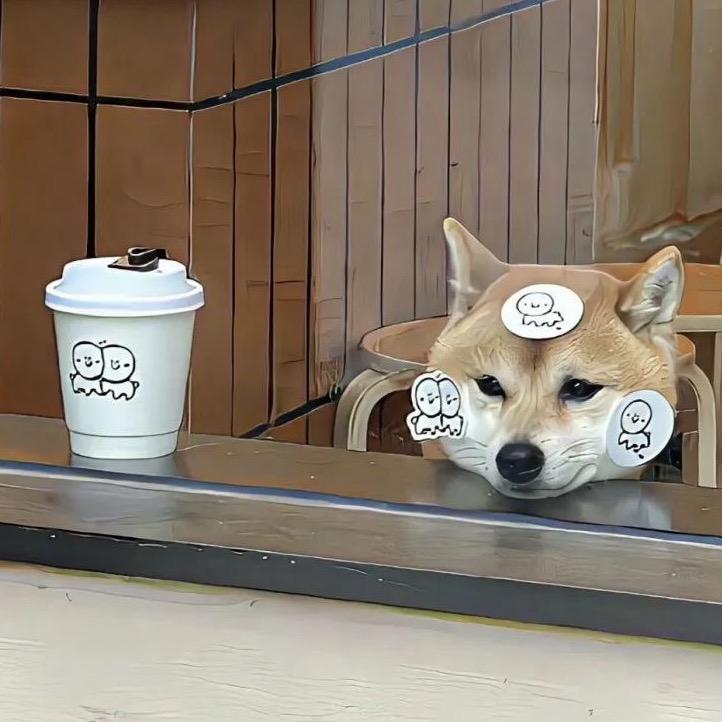 𓆟愿