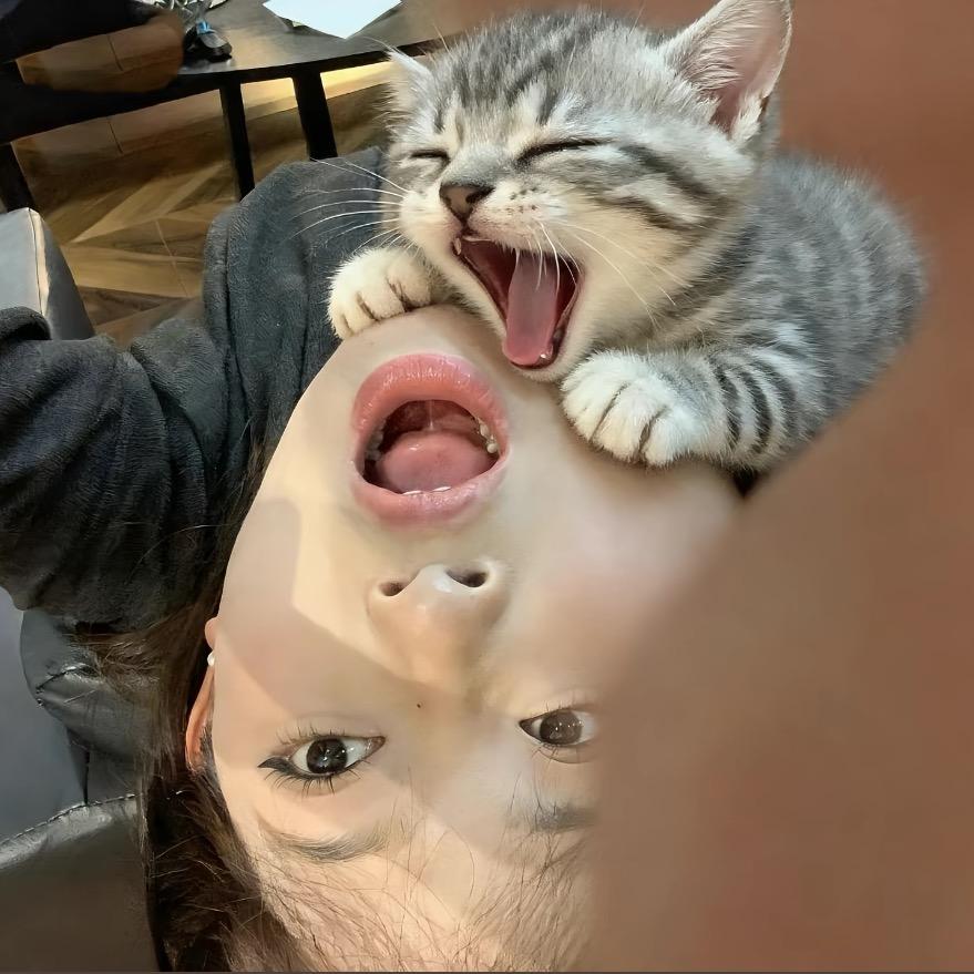 㯥夢嬌.
