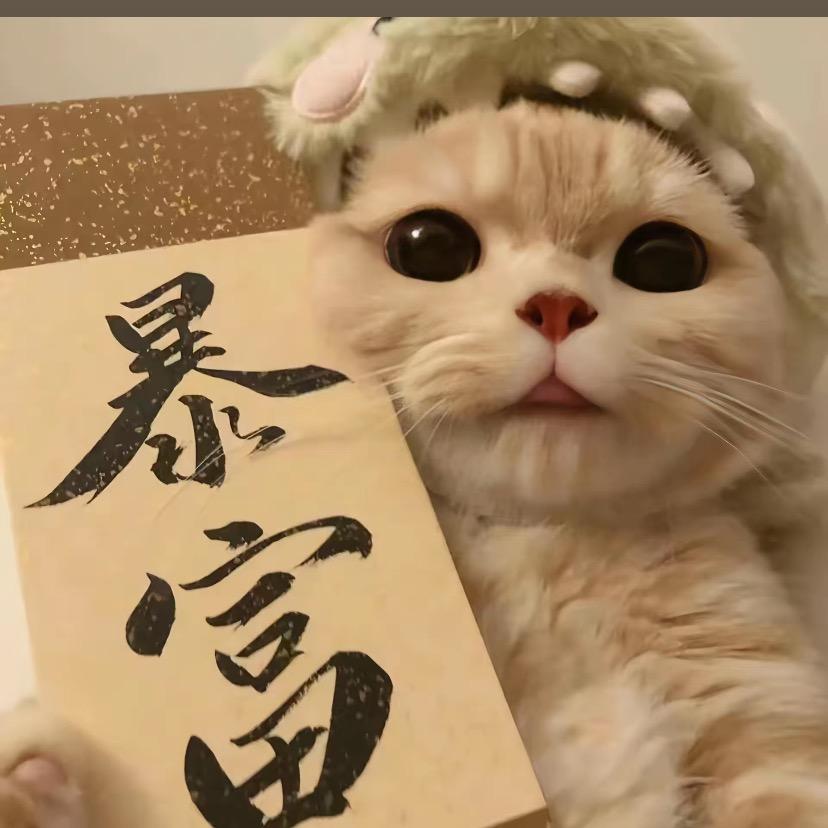 静贤🧚🏻‍♀️