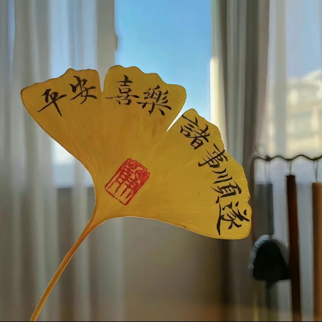 一花一世界
