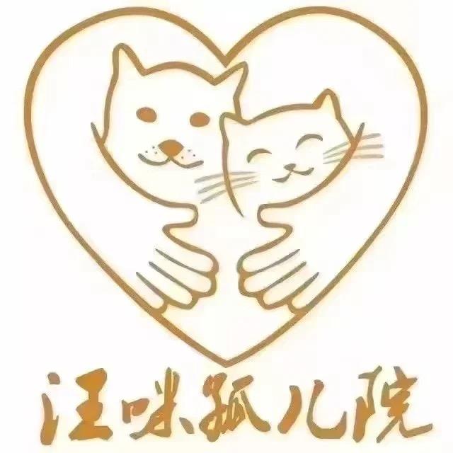 汪咪孤儿院