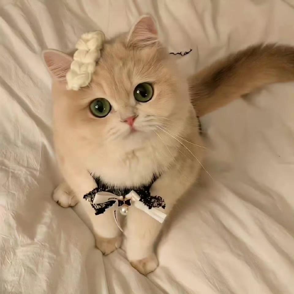 月亮🌙🌛