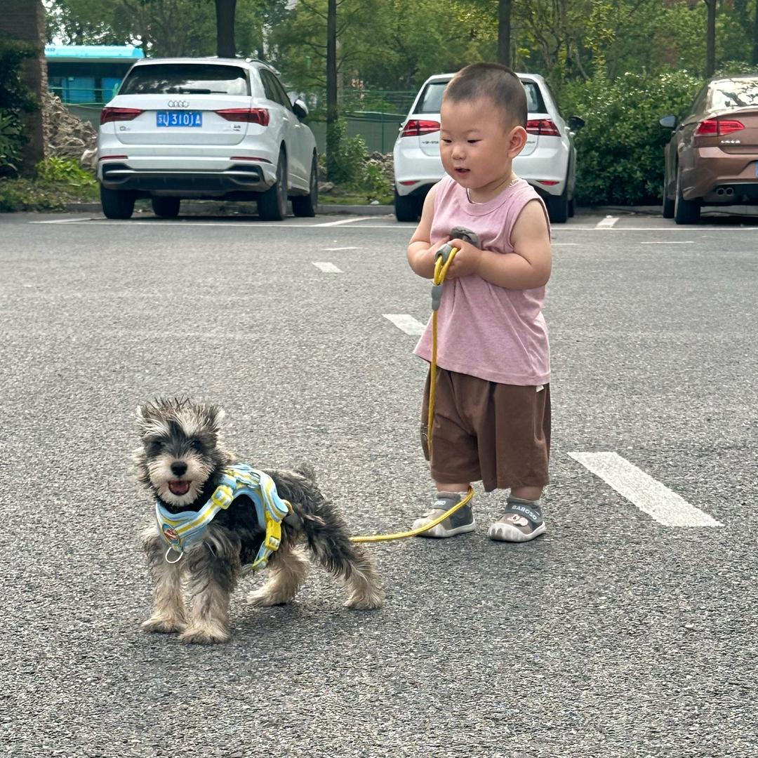 靓仔和🐶的日常