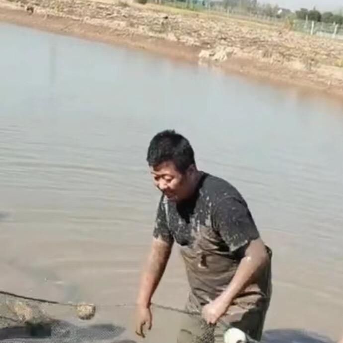 快乐鱼🐟(威哥)