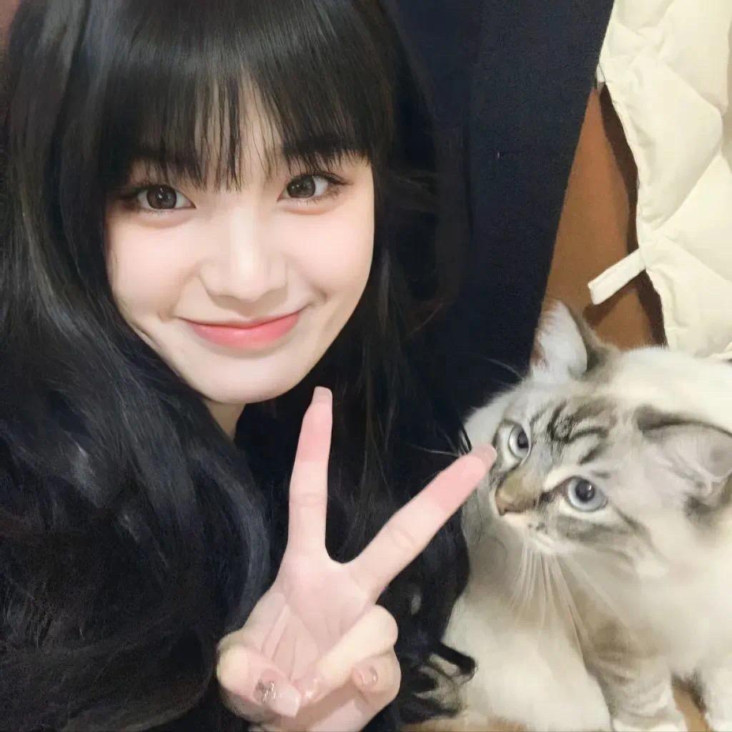 豆角锂电（高价回收新能源汽车电池包）