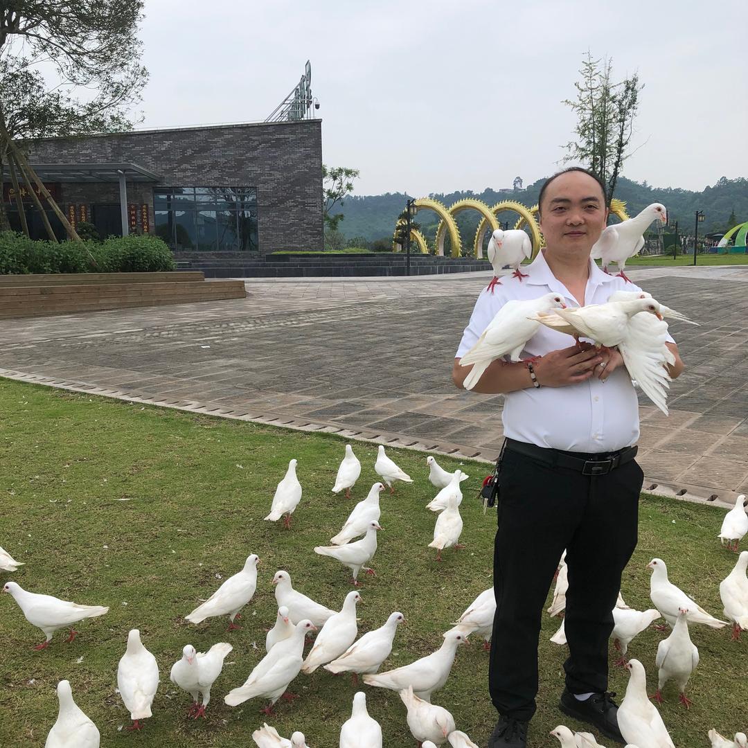 楠权百货