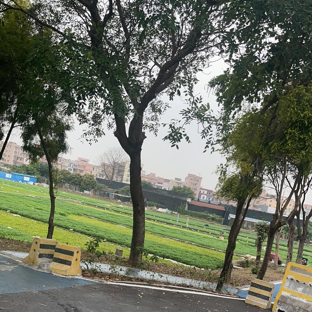 半杯可乐