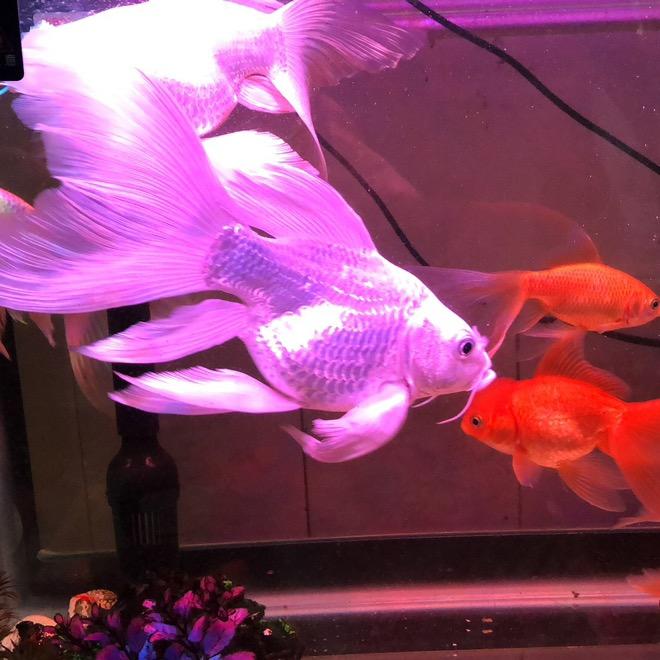 风一样自由🇨🇳