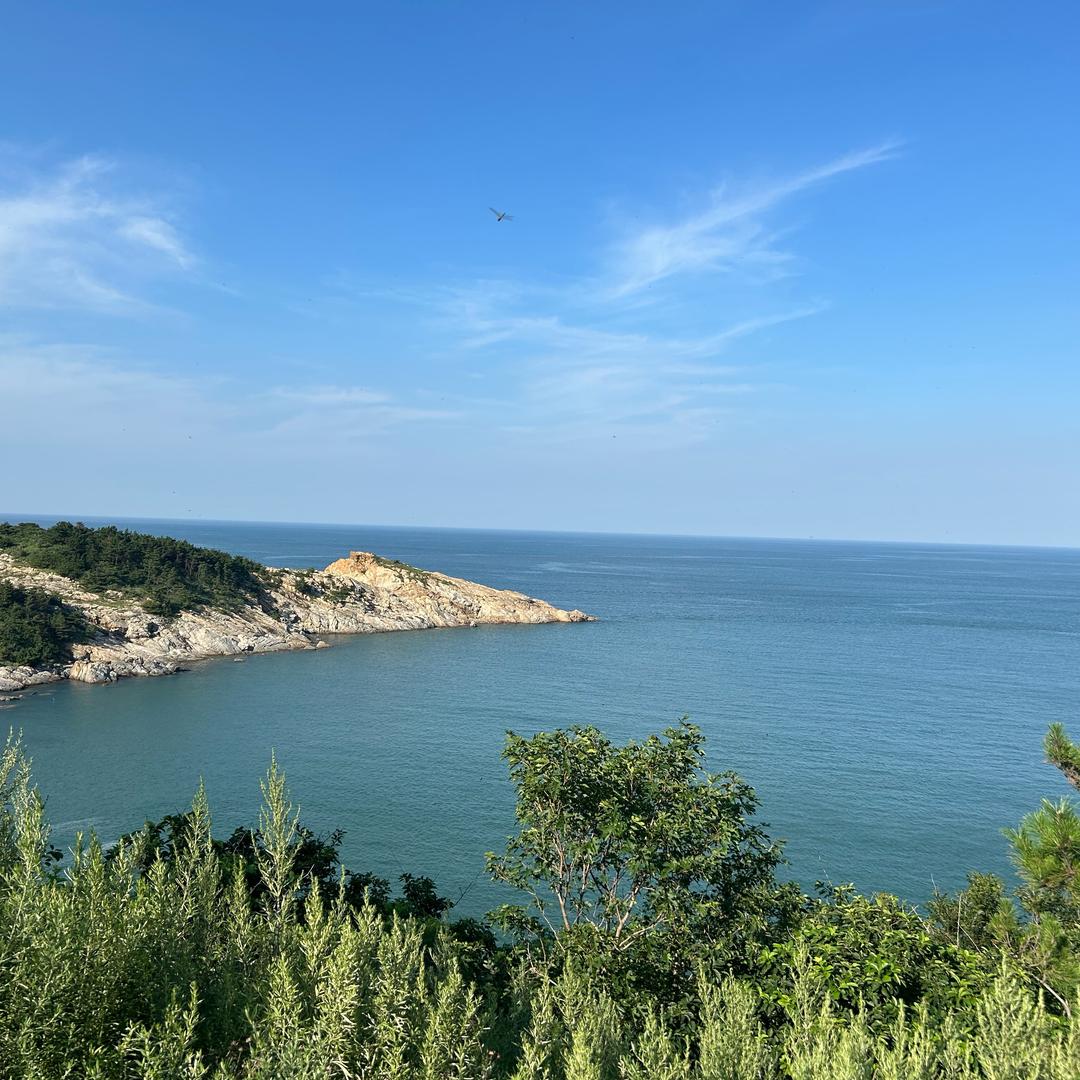 铁蛋（村里的信）