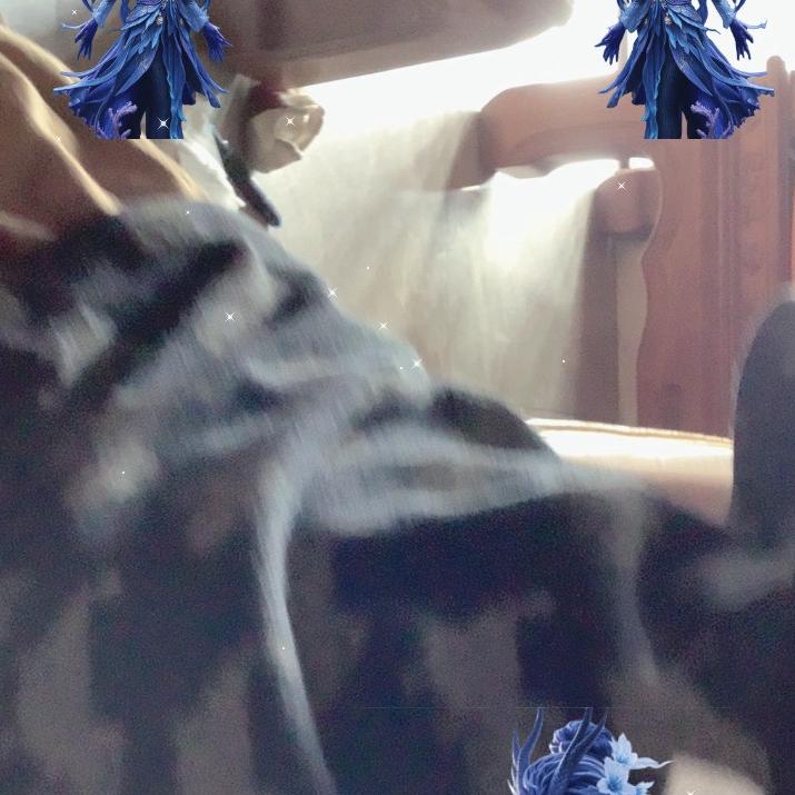 。。*