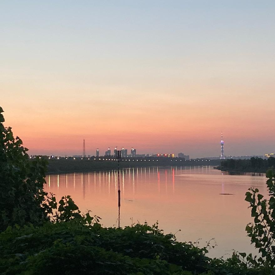 河南周口 北海道黄杨基地🌴