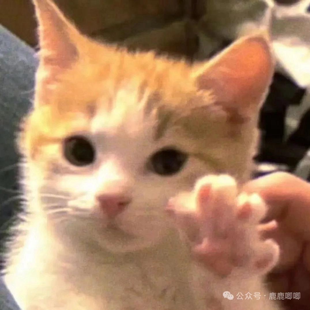 樱樱