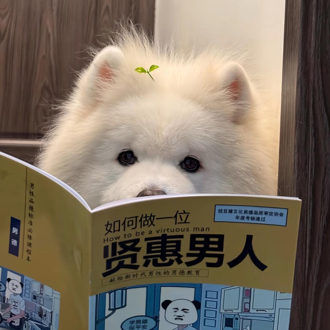 王子