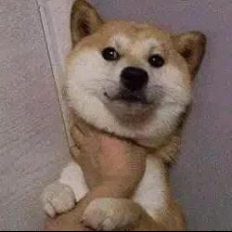 羽羽如声_