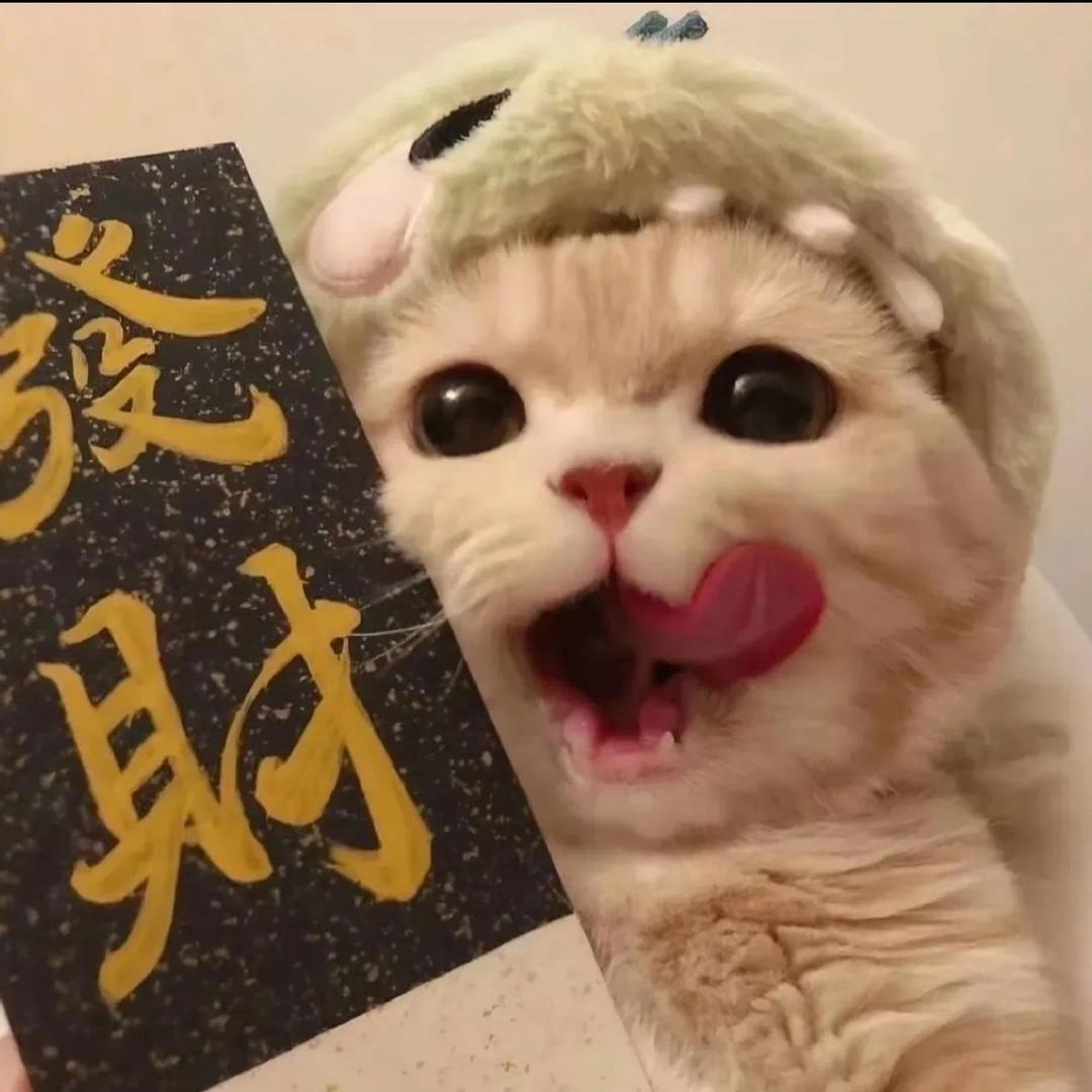 富贵猫猫