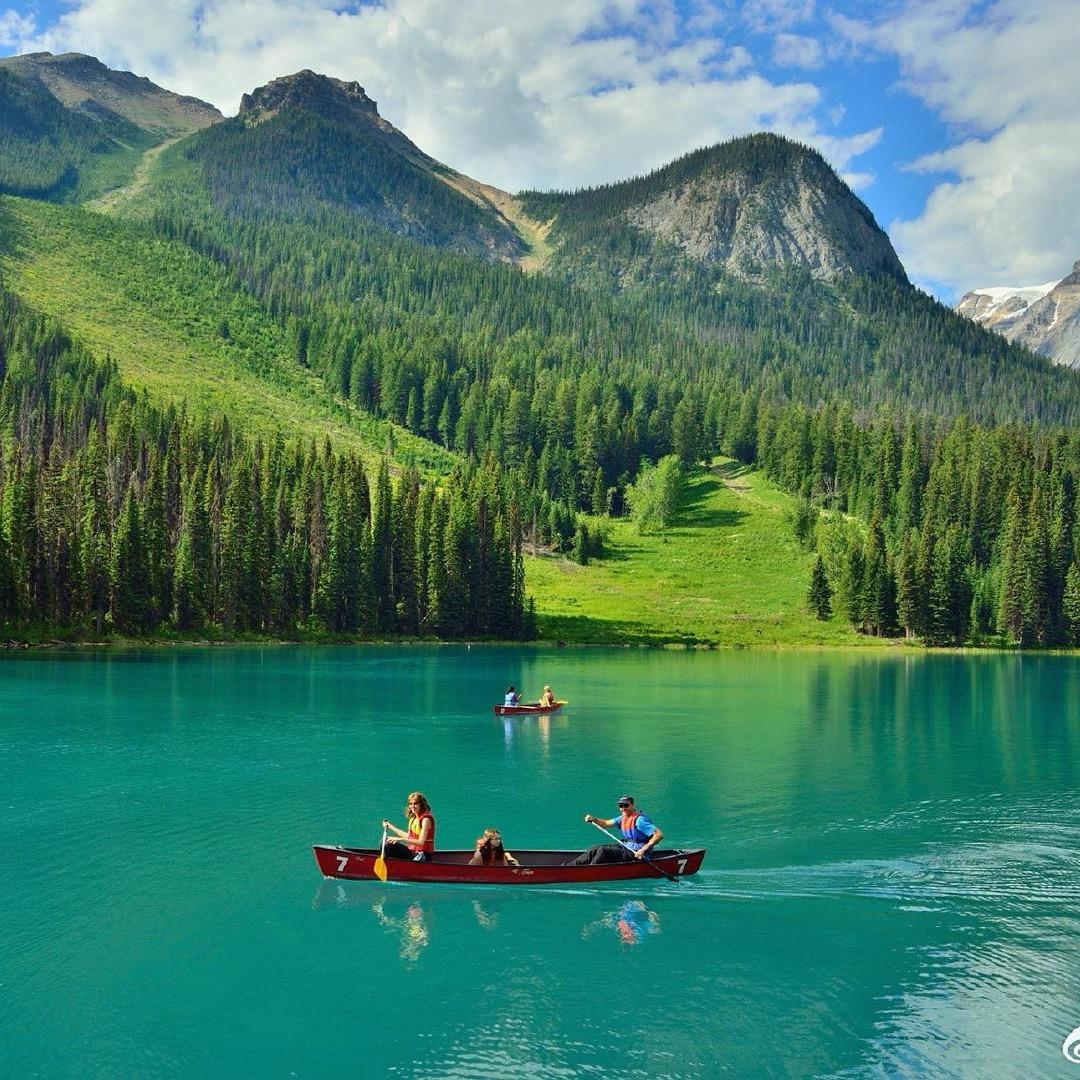 范老师聊营养膳食