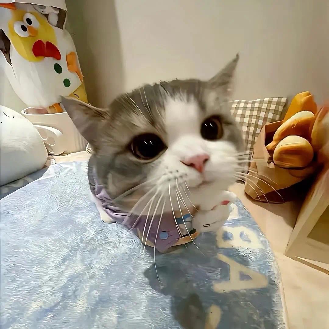 在这儿呢