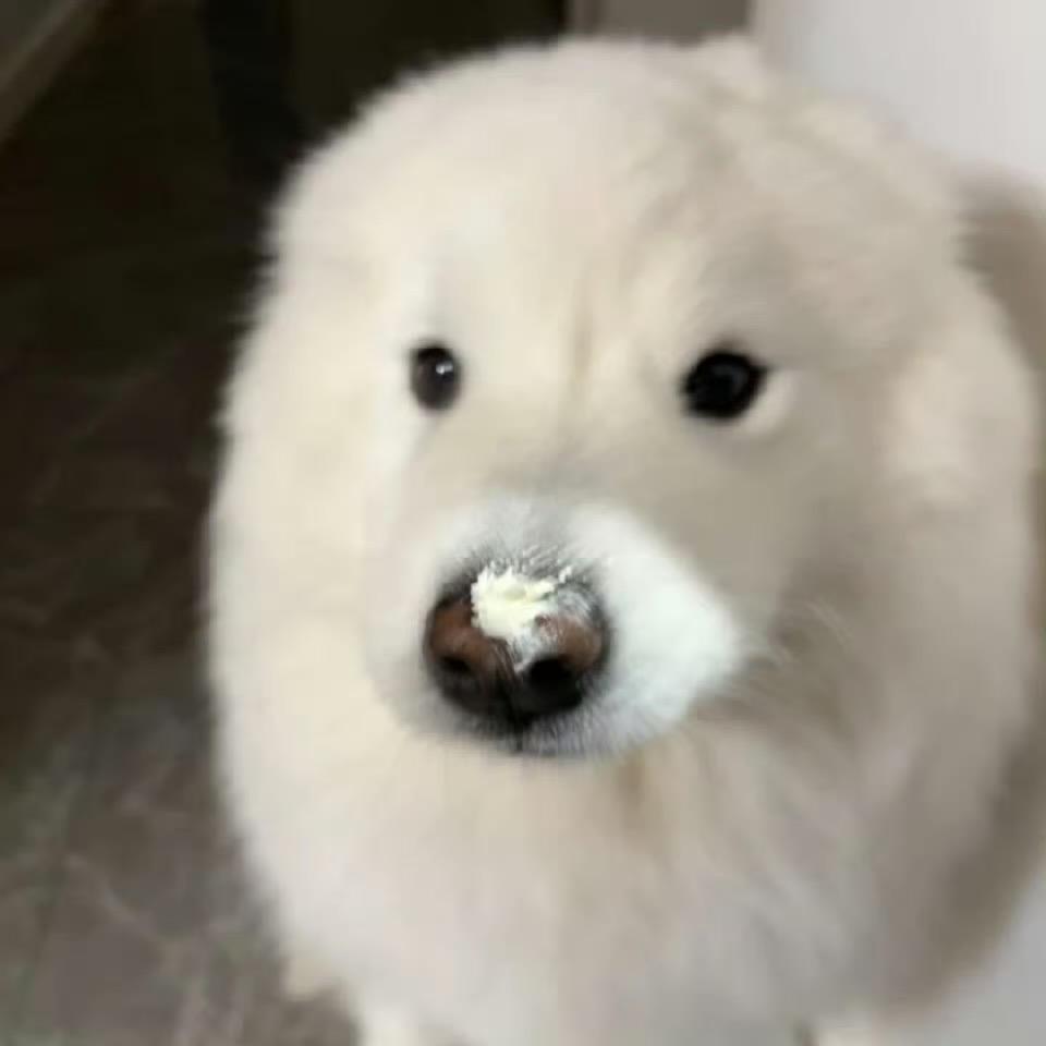 我是蛋蛋