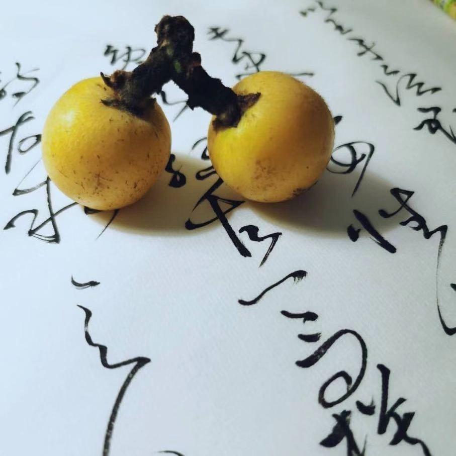 苏州东山果果农品（碧螺春）