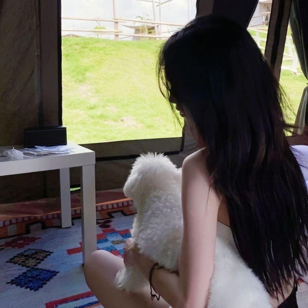 藍桉