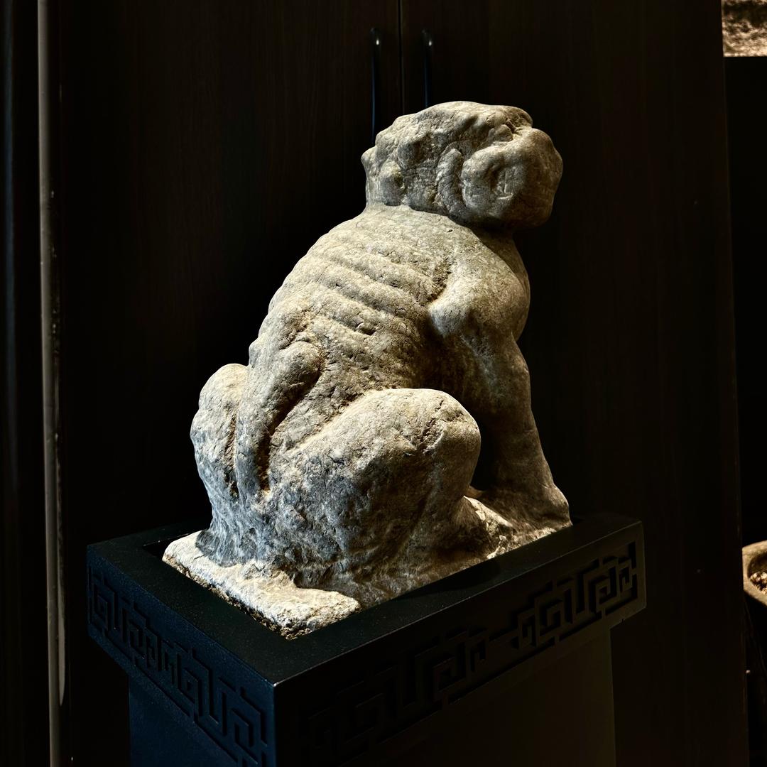 子浩玩石（日常篇）