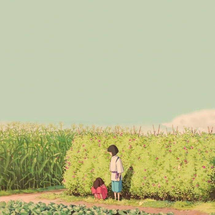 Haoo•菲
