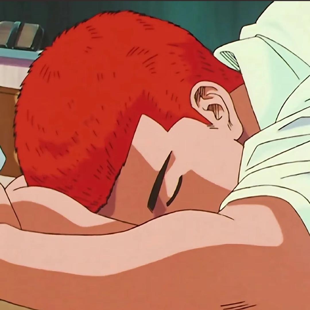 💤🦩