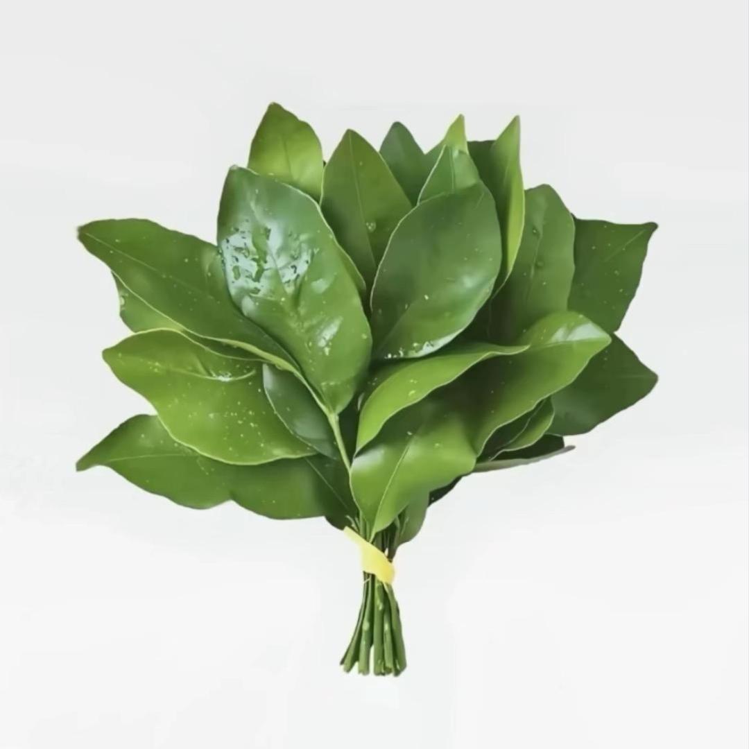 他们都叫我萱子